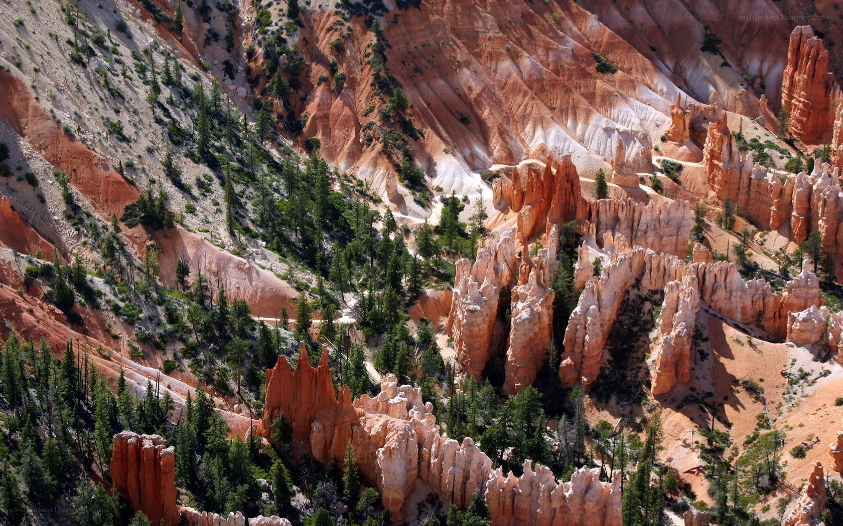 Bryce Canyon hoodoos