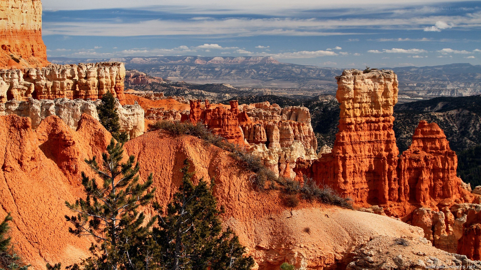Bryce Canyon hoodoos