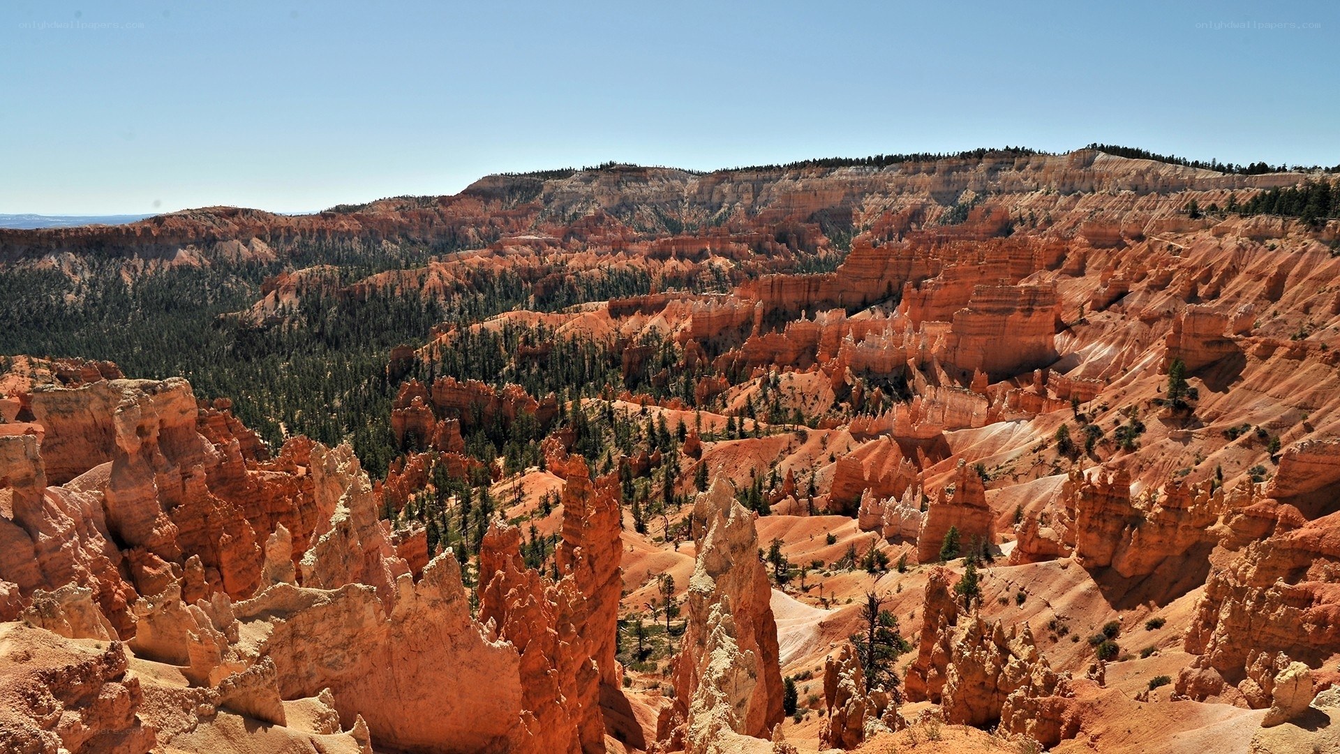 Bryce Canyon hoodoos