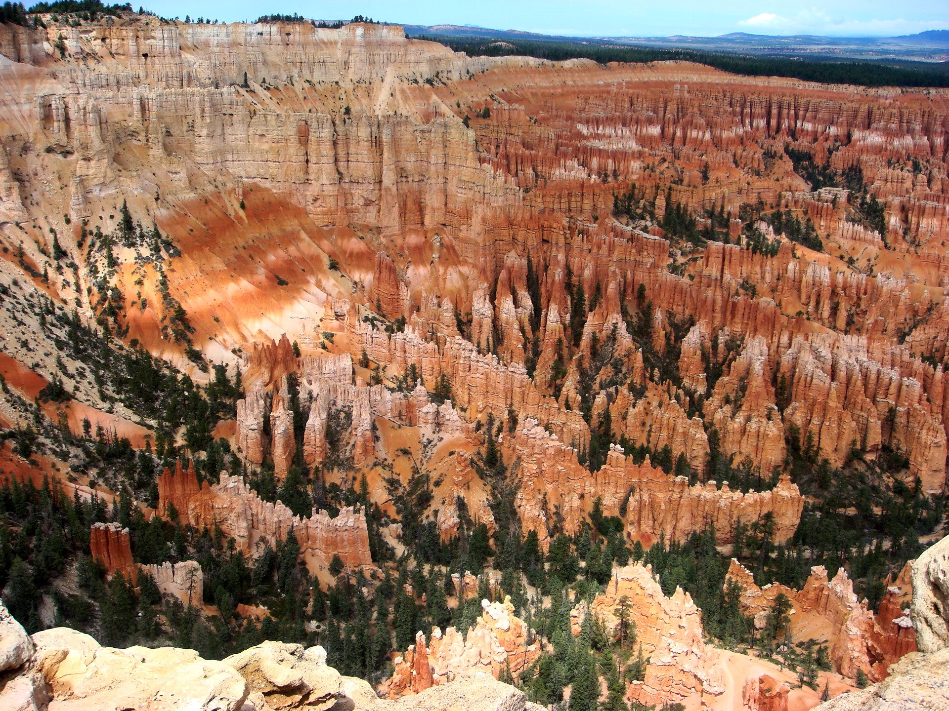 Bryce Canyon hoodoos