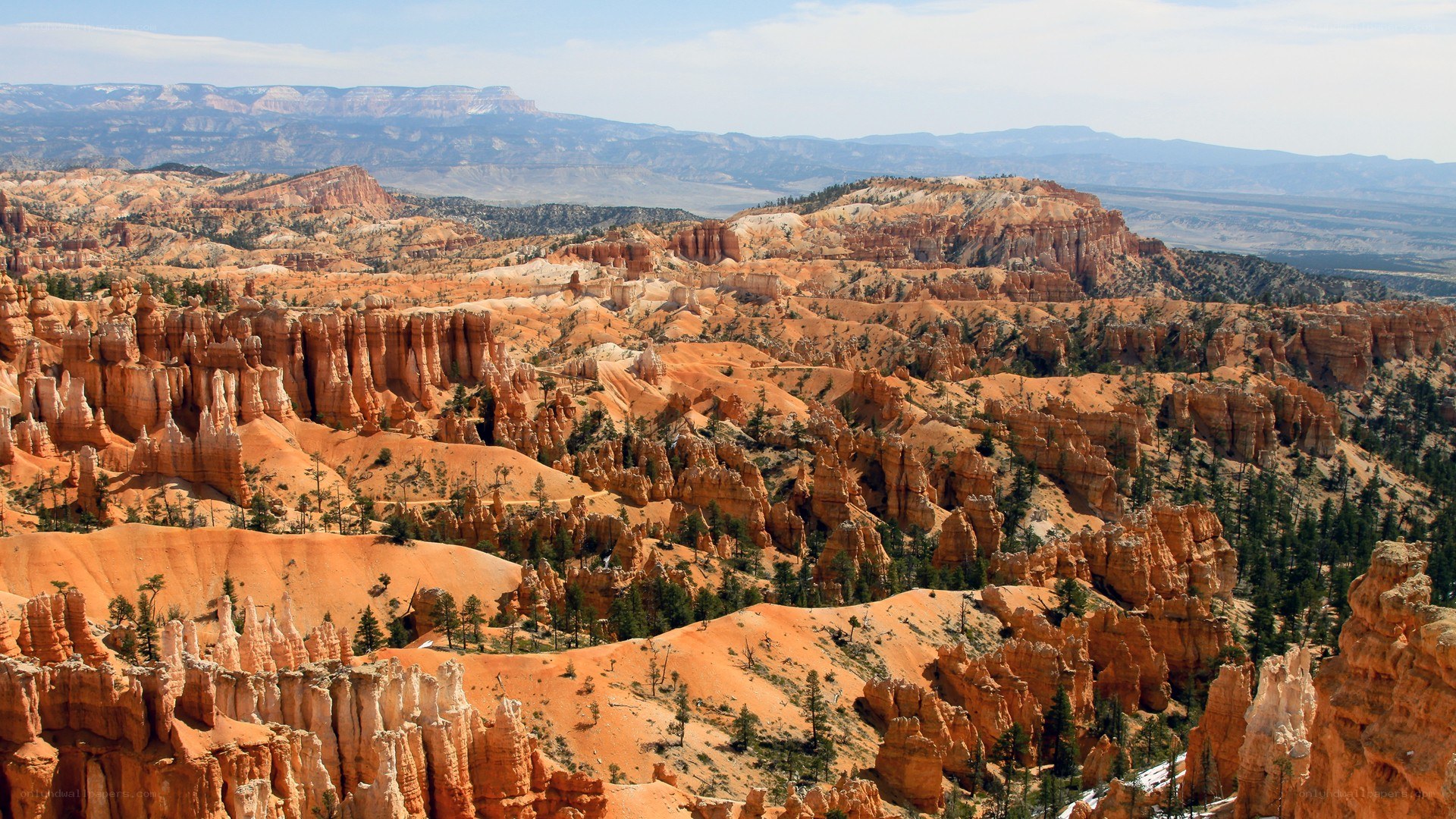 Bryce Canyon hoodoos