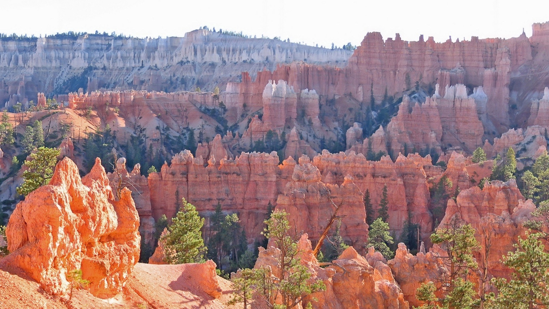 Bryce Canyon hoodoos