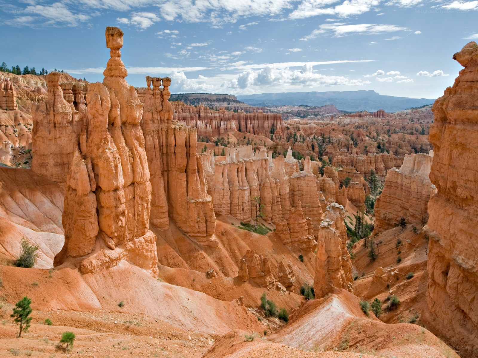 Bryce Canyon hoodoos