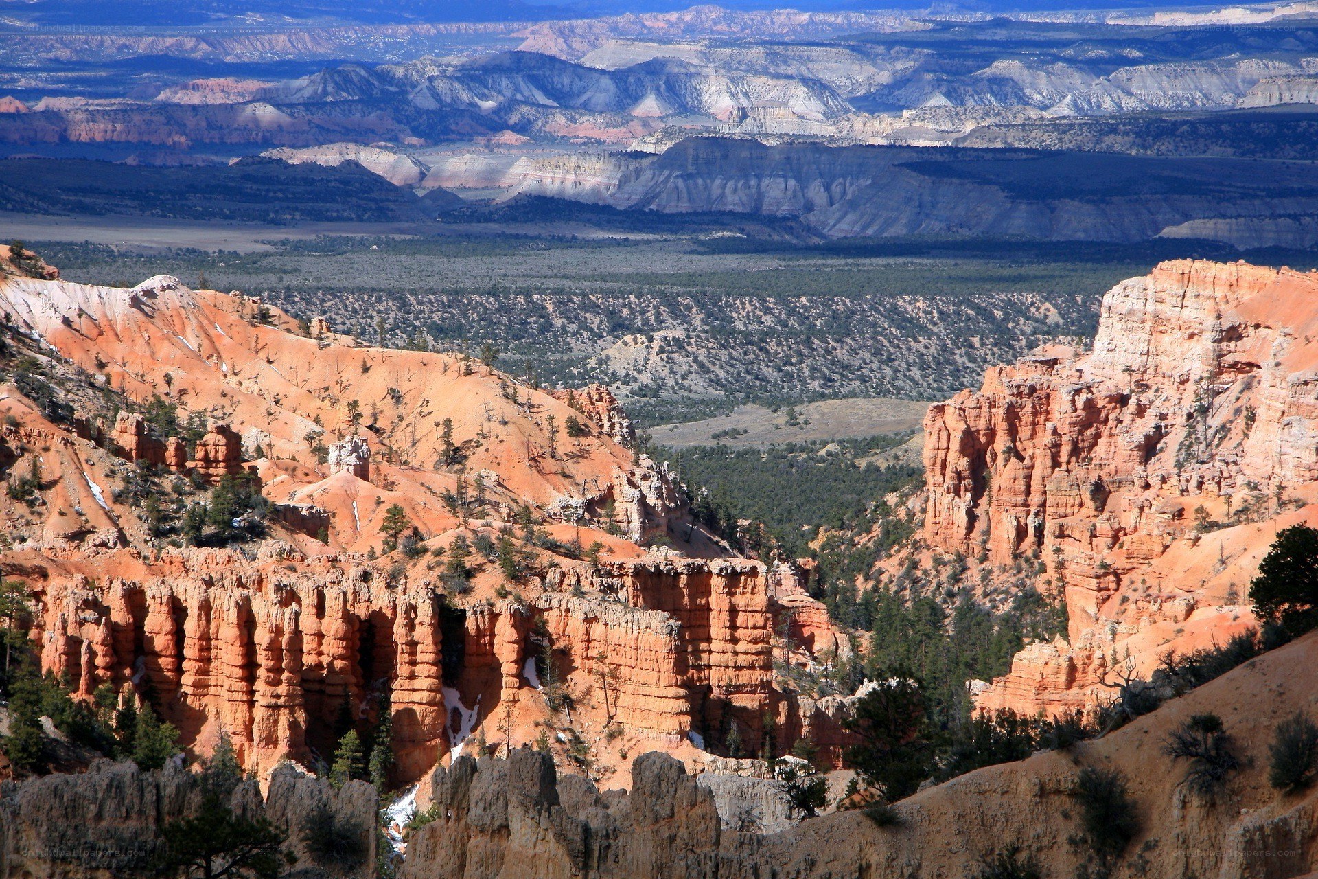Bryce Canyon hoodoos