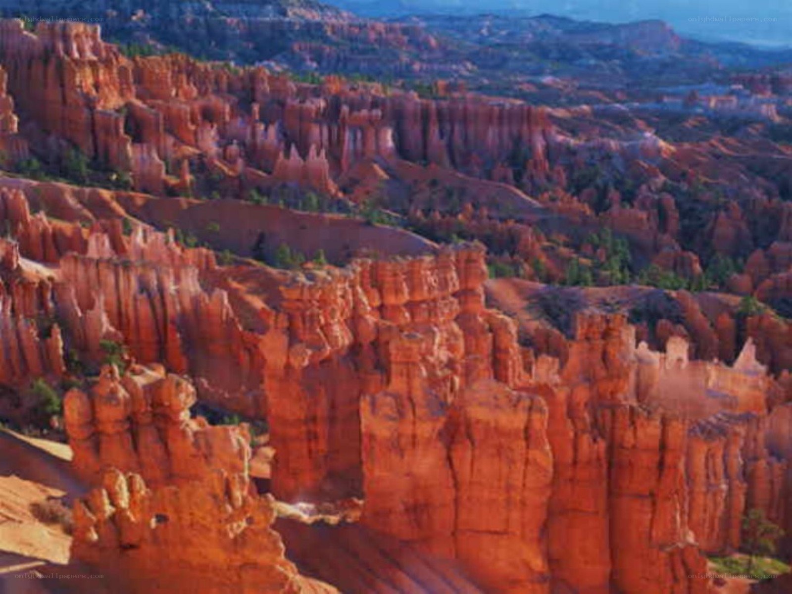 Bryce Canyon hoodoos