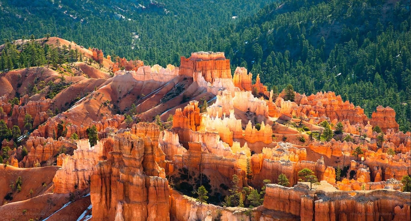 Bryce Canyon hoodoos