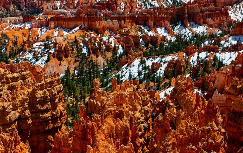 Bryce Canyon hoodoos