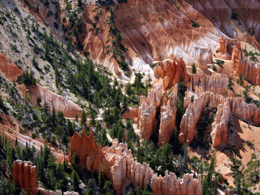 Bryce Canyon hoodoos