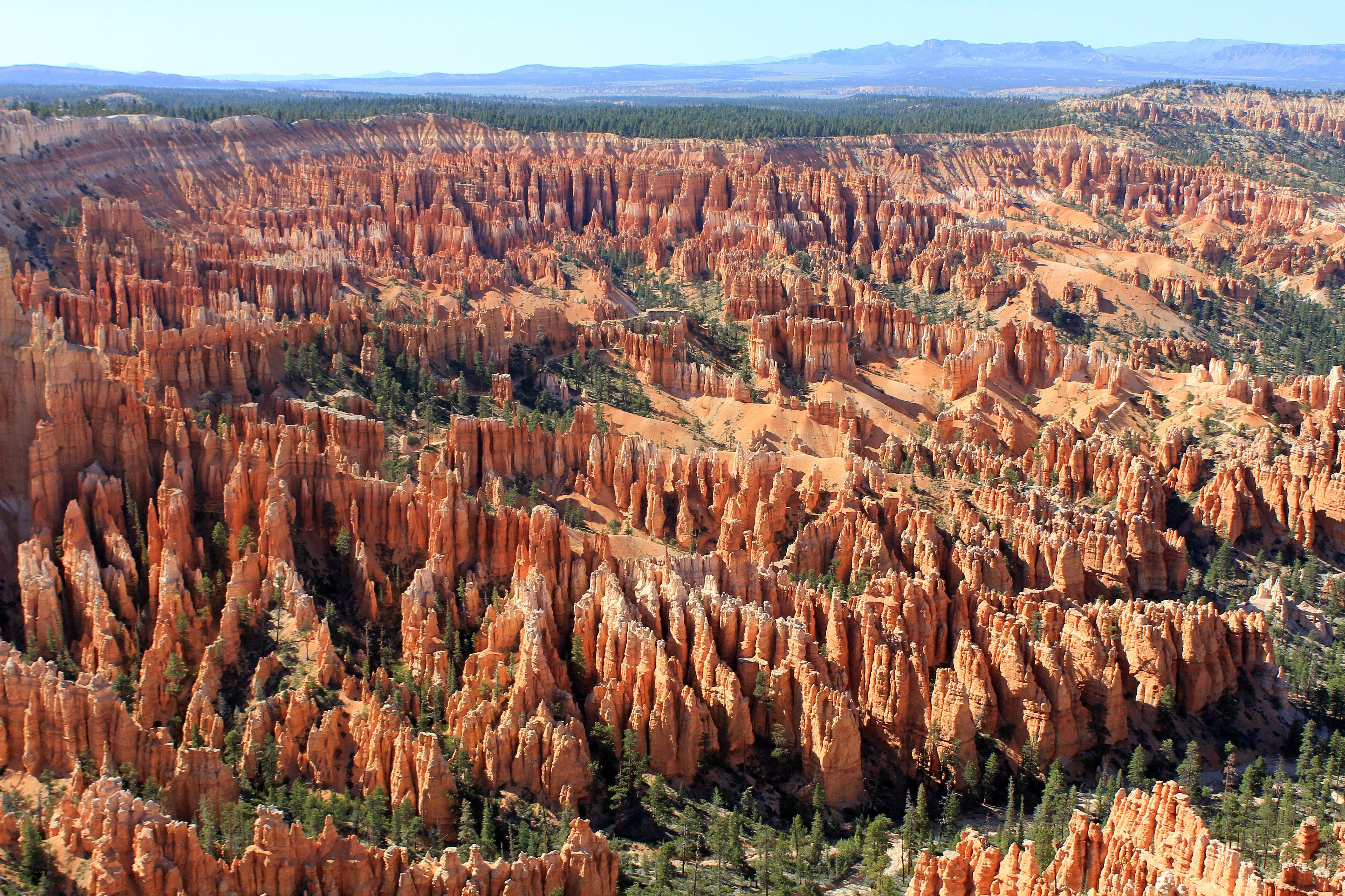 Bryce Canyon hoodoos