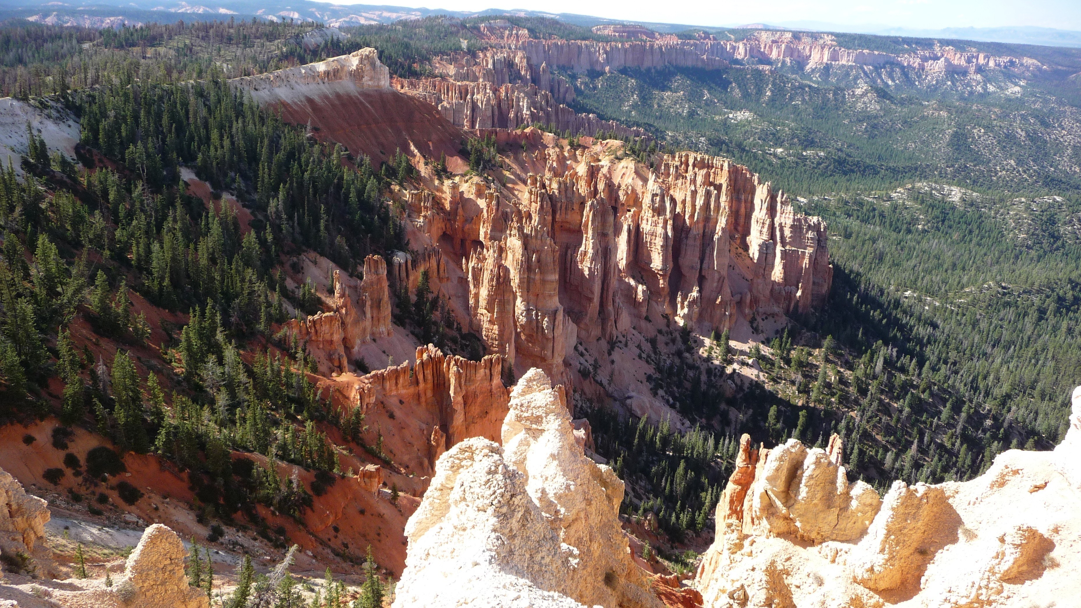 Bryce Canyon hoodoos and forest