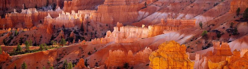 Bryce Canyon hoodoos at sunrise