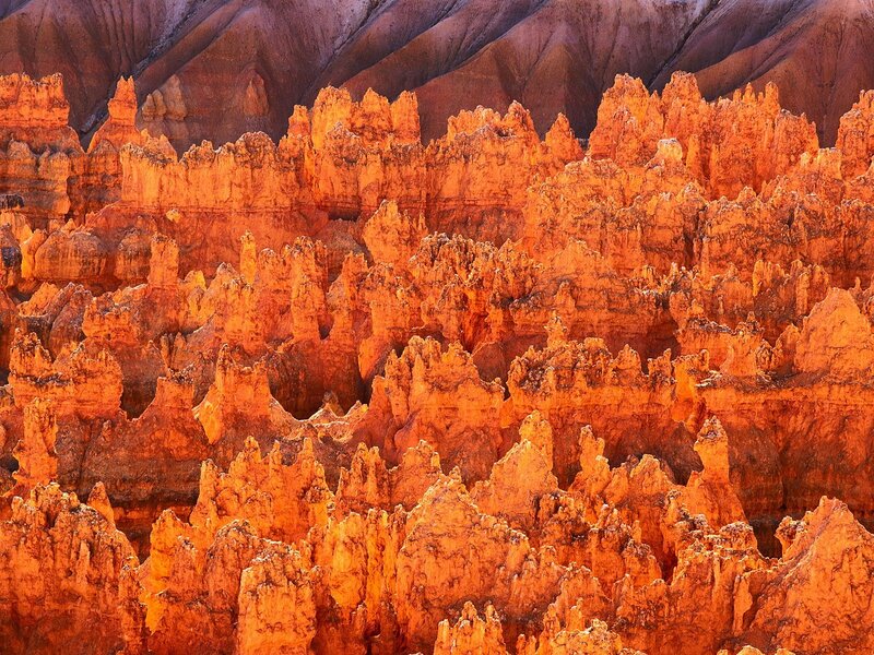 Bryce Canyon hoodoos at sunrise