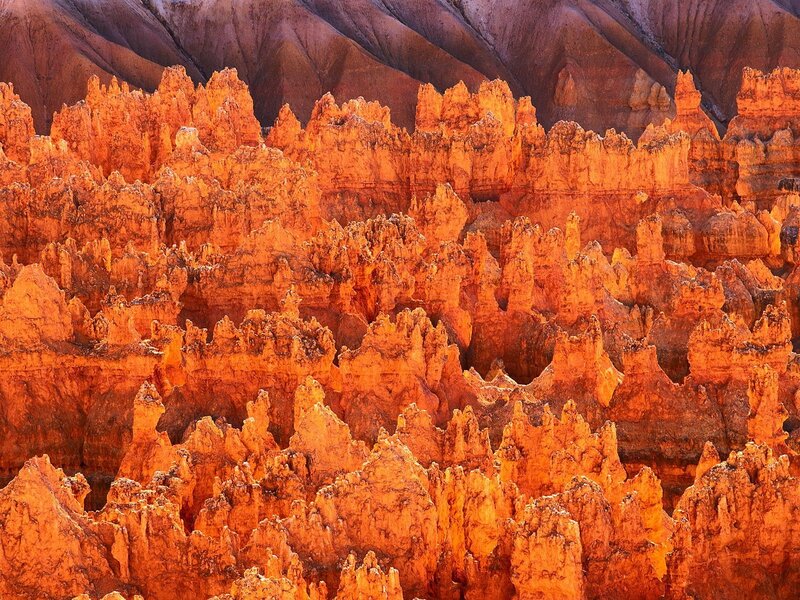 Bryce Canyon hoodoos at sunrise