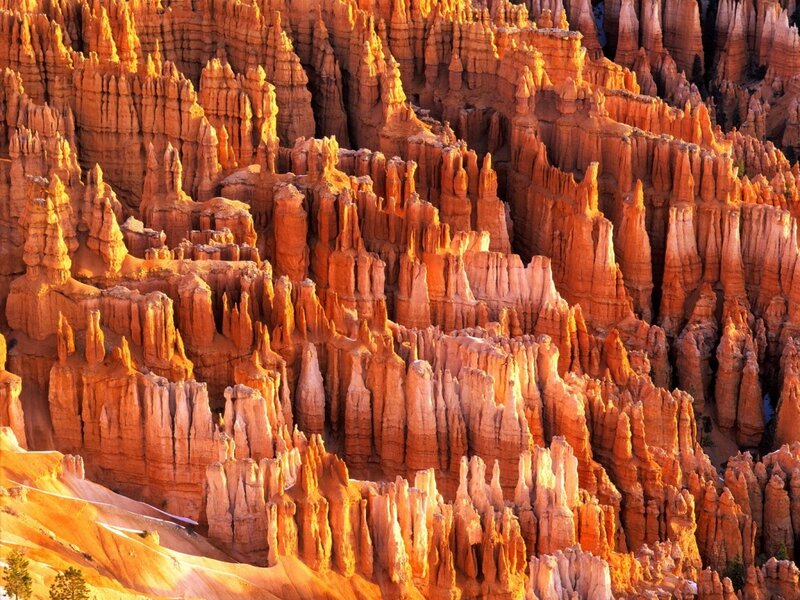 Bryce Canyon hoodoos at sunrise