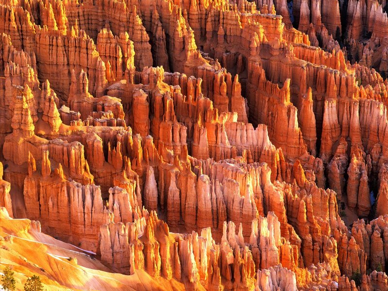 Bryce Canyon hoodoos at sunrise