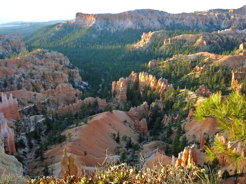 Bryce Canyon hoodoos at sunrise