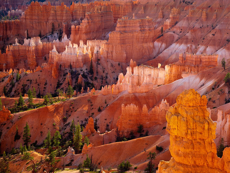 Bryce Canyon hoodoos at sunrise