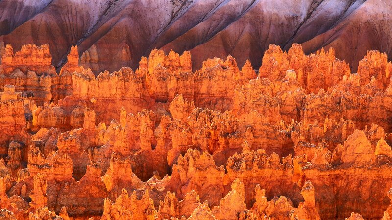 Bryce Canyon hoodoos at sunrise
