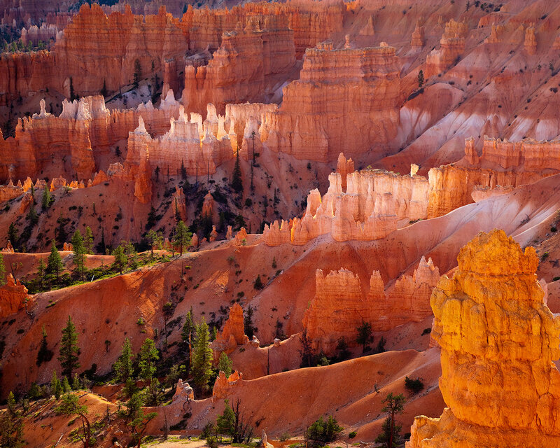 Bryce Canyon hoodoos at sunrise