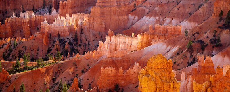 Bryce Canyon hoodoos at sunset