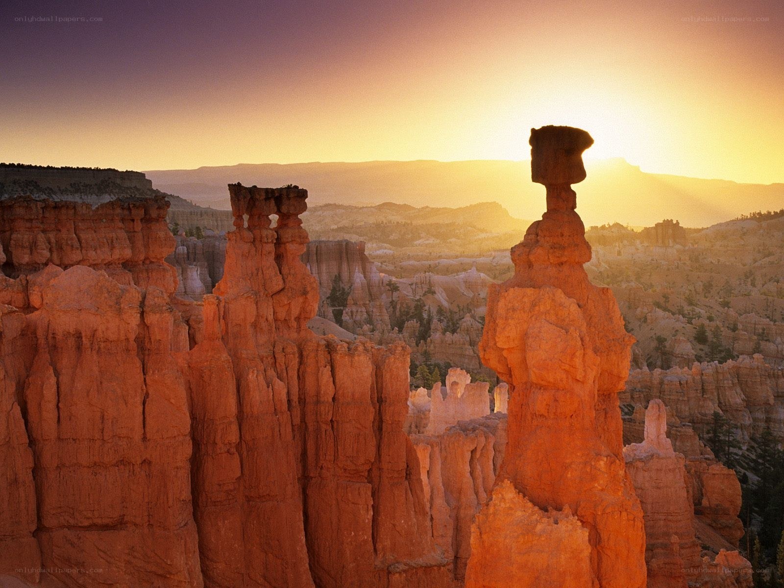 Bryce Canyon hoodoos at sunset
