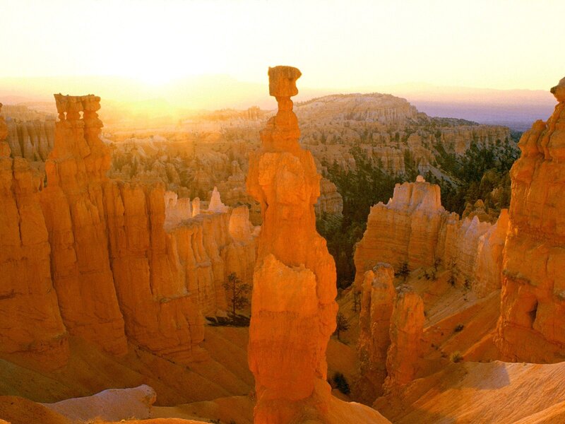 Bryce Canyon hoodoos at sunset