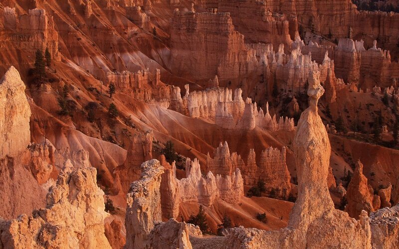 Bryce Canyon hoodoos at sunset