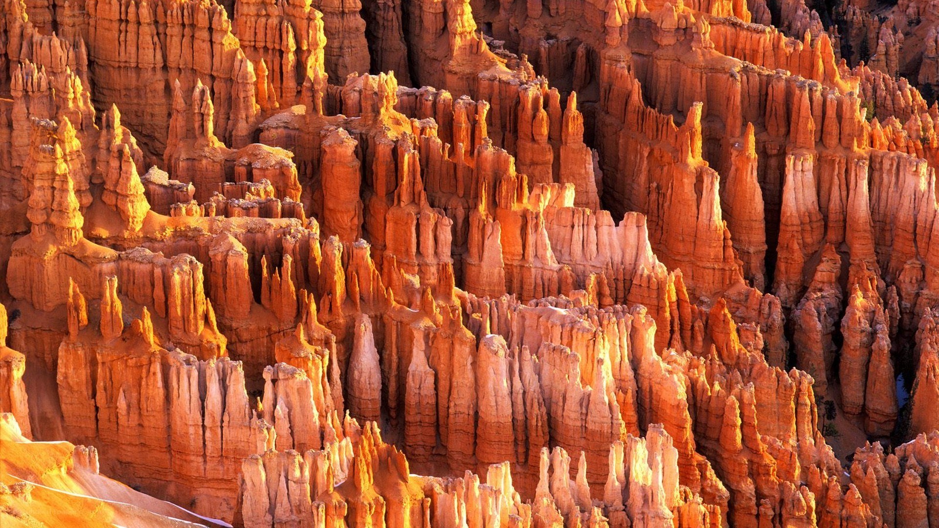 Bryce Canyon hoodoos at sunset