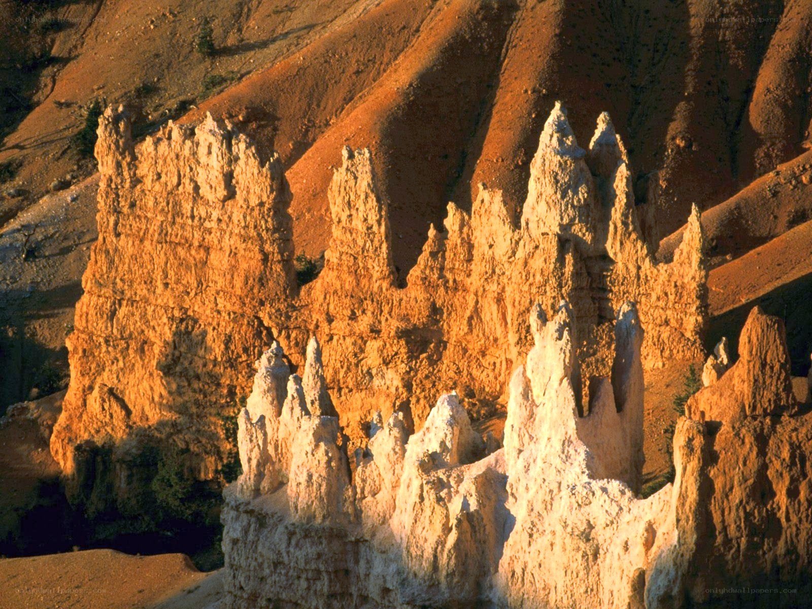 Bryce Canyon hoodoos at sunset