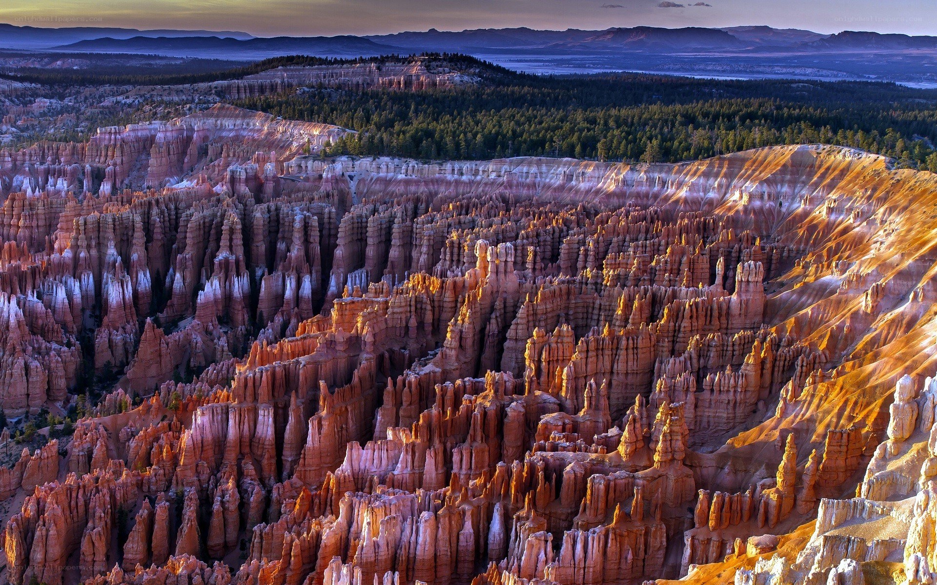 Bryce Canyon hoodoos at sunset