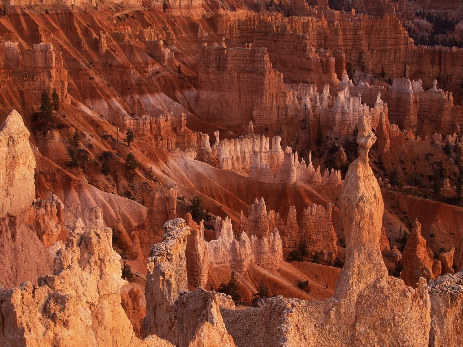 Bryce Canyon hoodoos at sunset