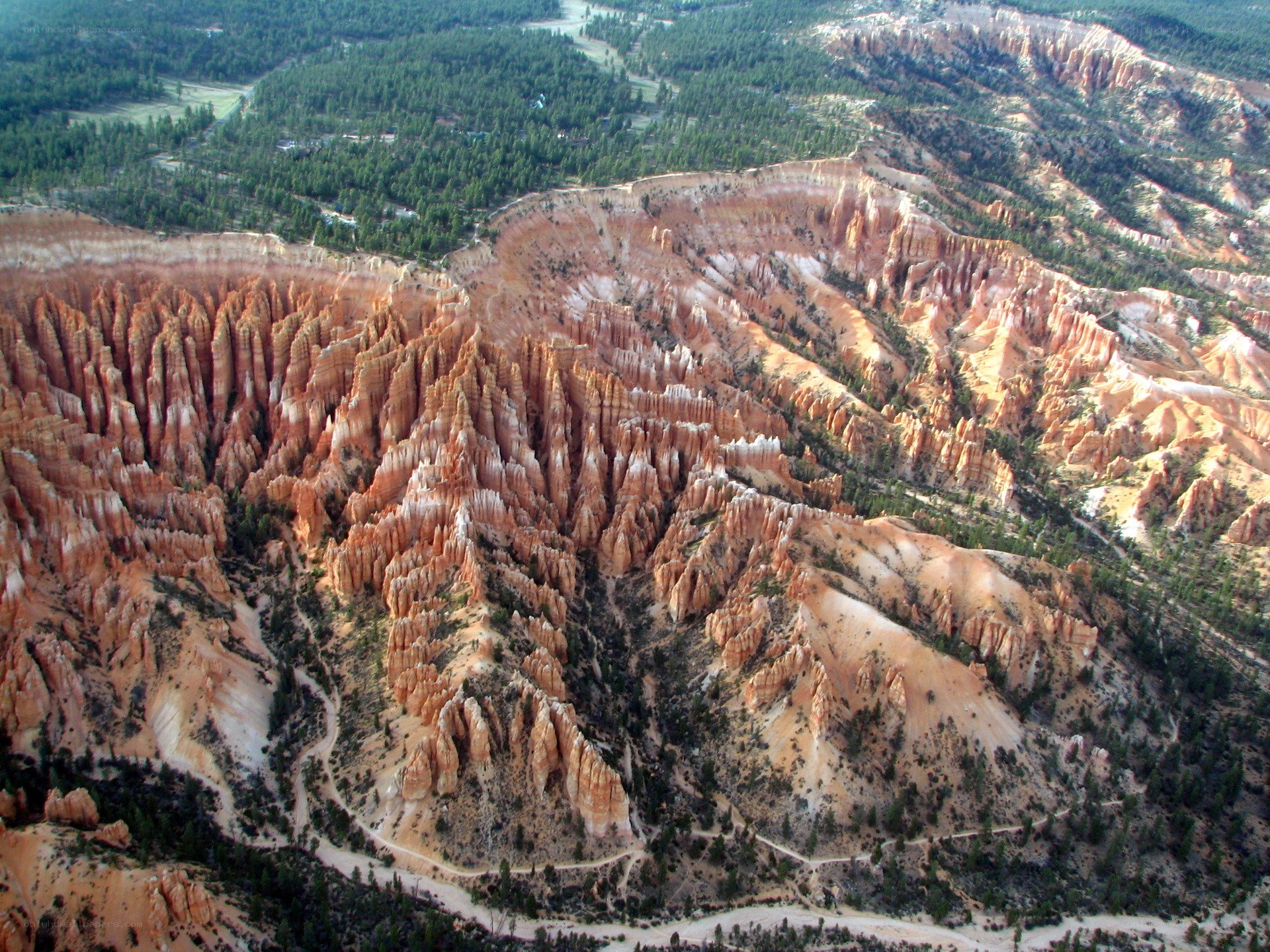 Bryce Canyon hoodoos from above
