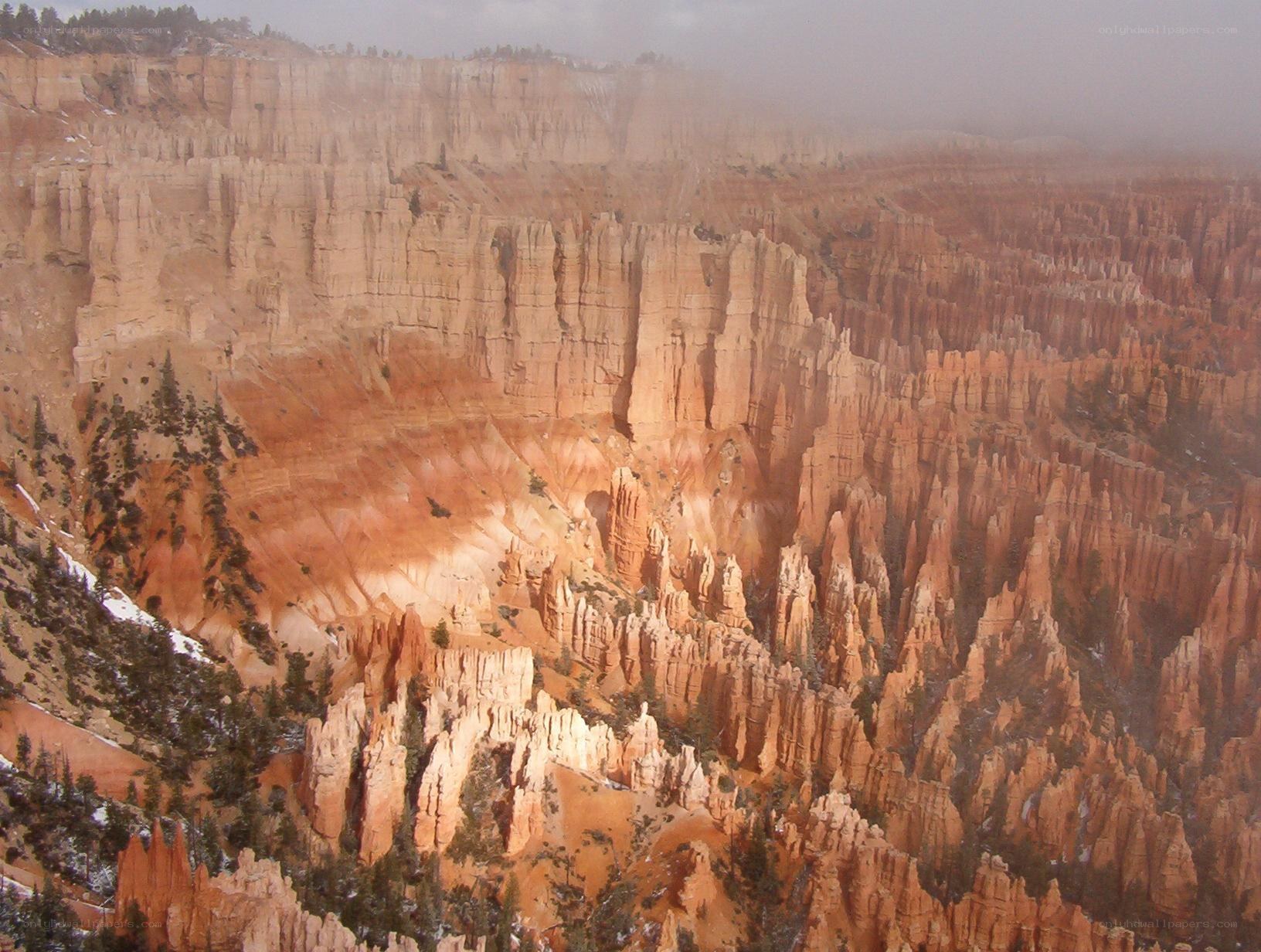 Bryce Canyon hoodoos in fog