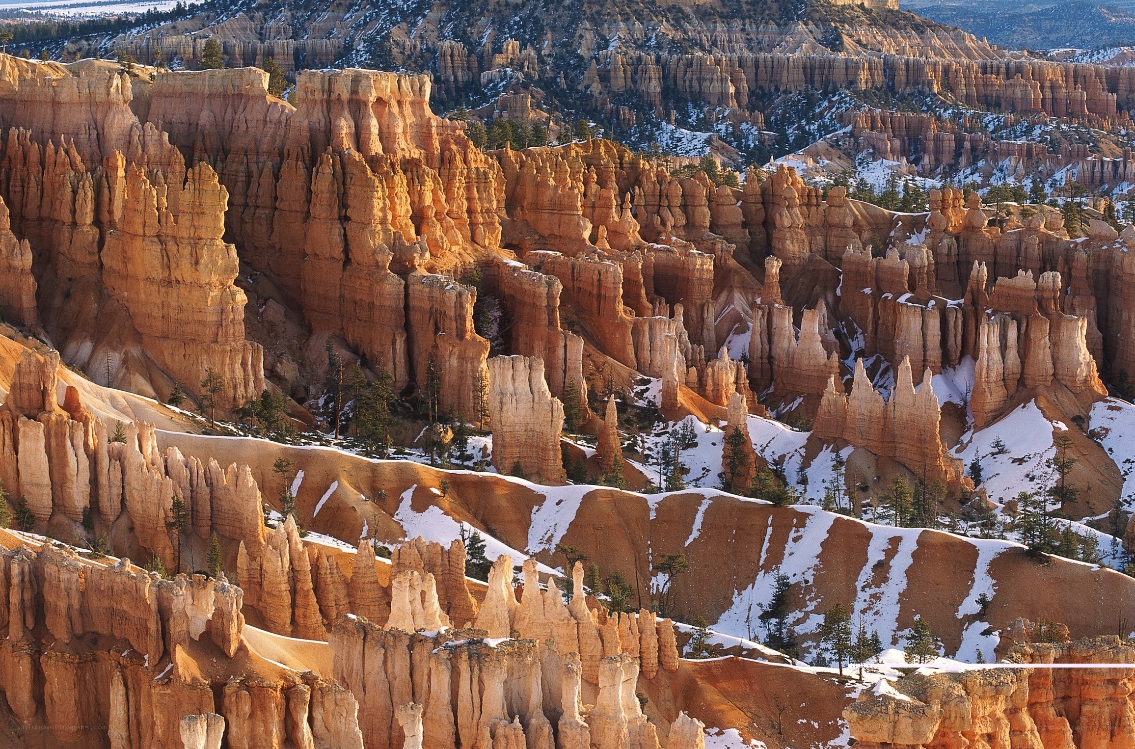 Bryce Canyon hoodoos in winter