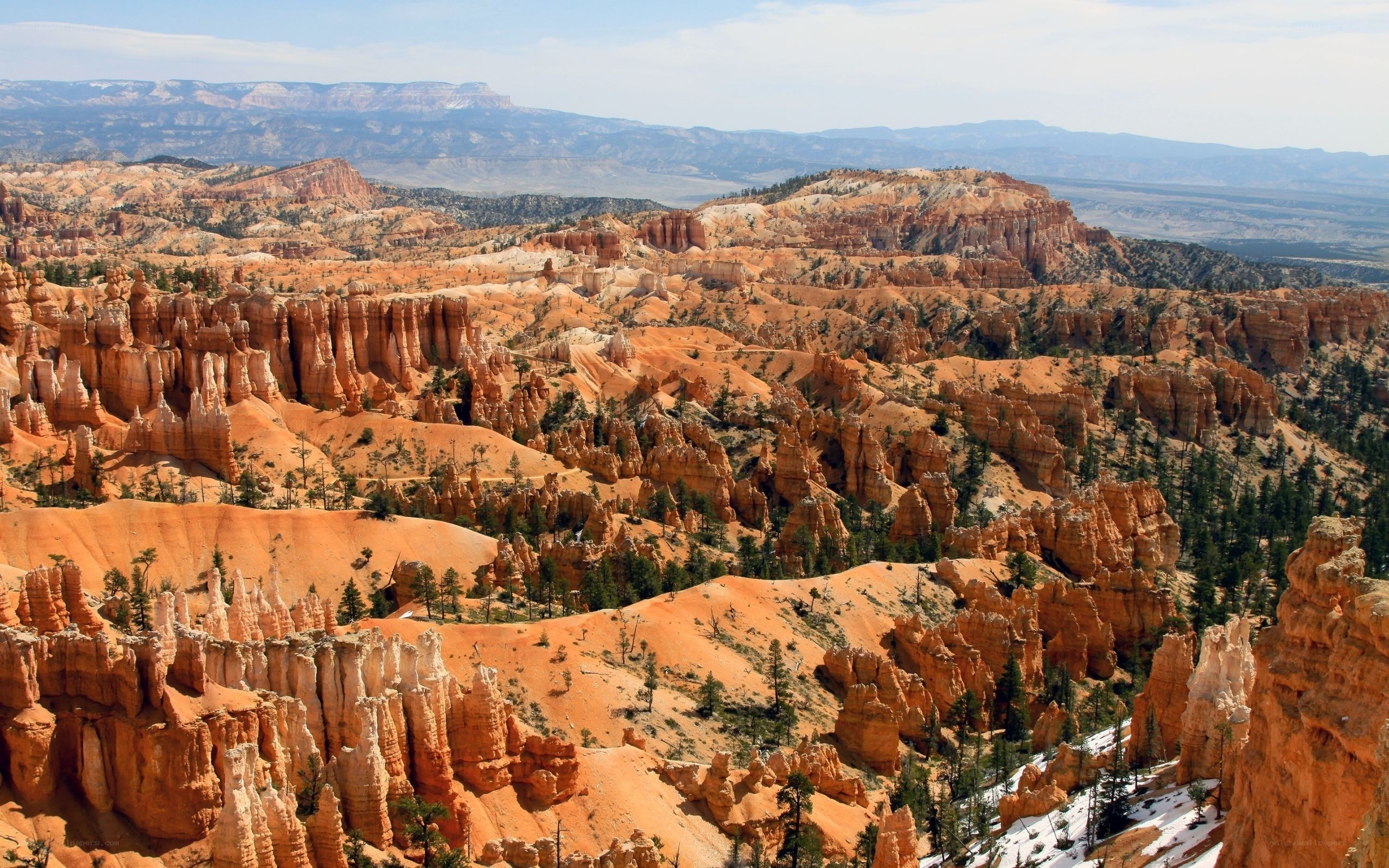 Bryce Canyon hoodoos landscape
