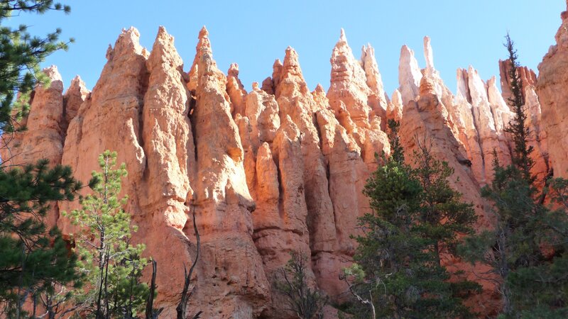 Bryce Canyon Hoodoos — Orange, Dramatic, Afternoon, Photograph, Trees