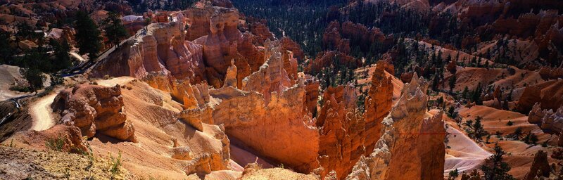 Bryce Canyon Hoodoos — Orange, Dramatic, Afternoon, Photograph, Trees, Trail