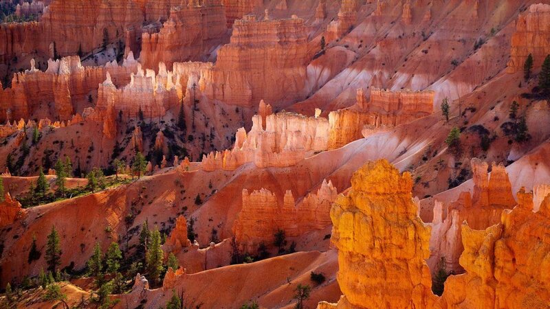 Bryce Canyon Hoodoos — Orange, Dramatic, Sunset