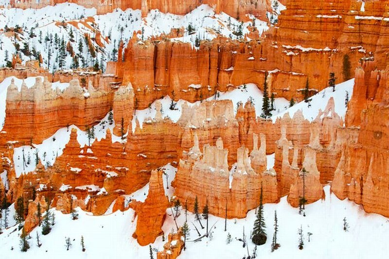 Bryce Canyon Hoodoos — Orange, Serene