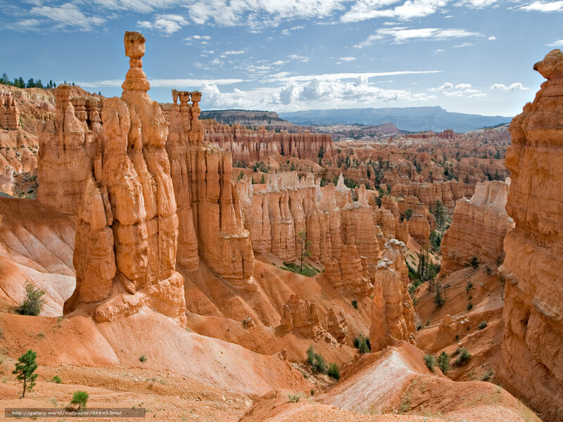 Bryce Canyon hoodoos
