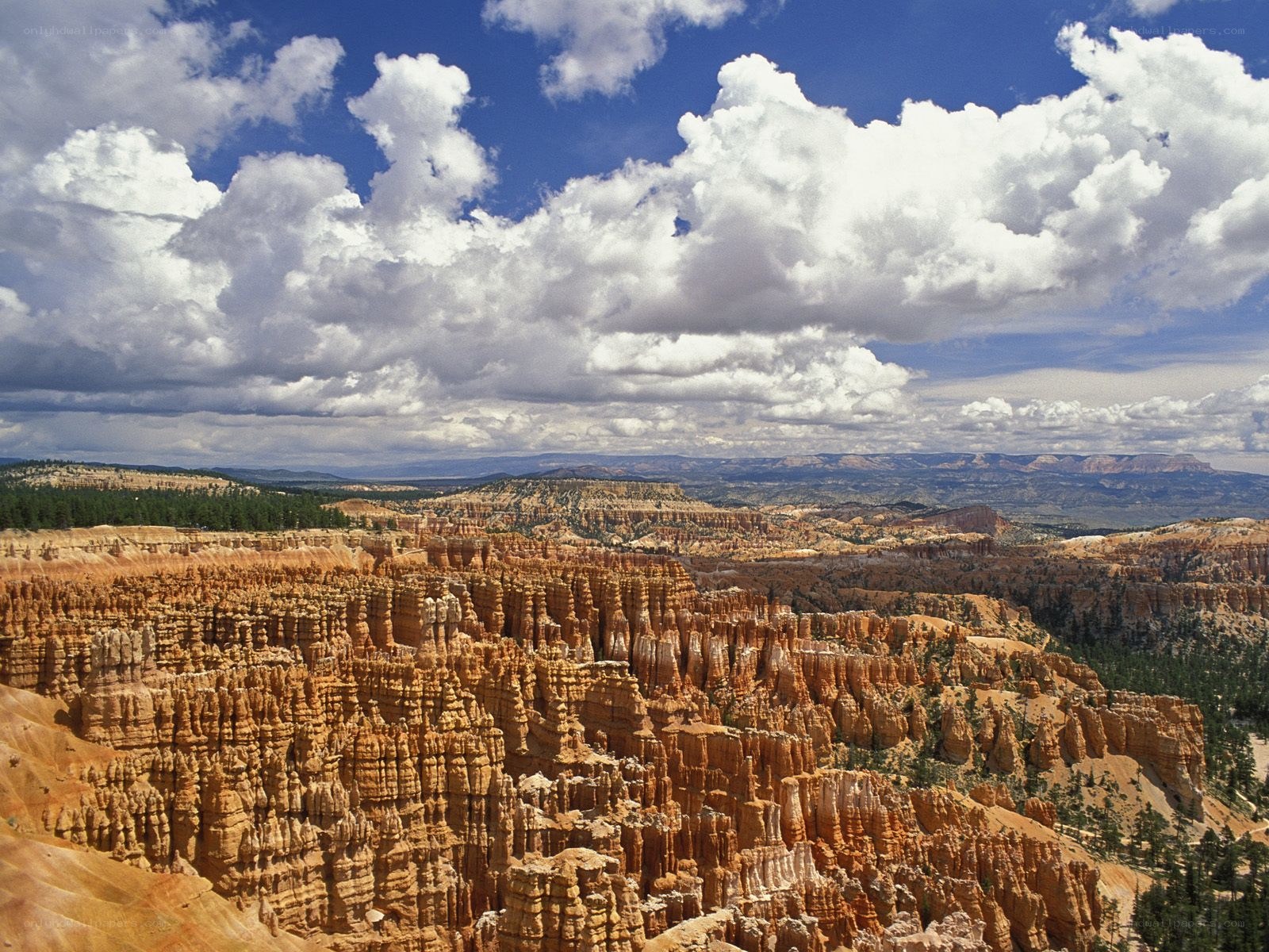 Bryce Canyon hoodoos under clouds