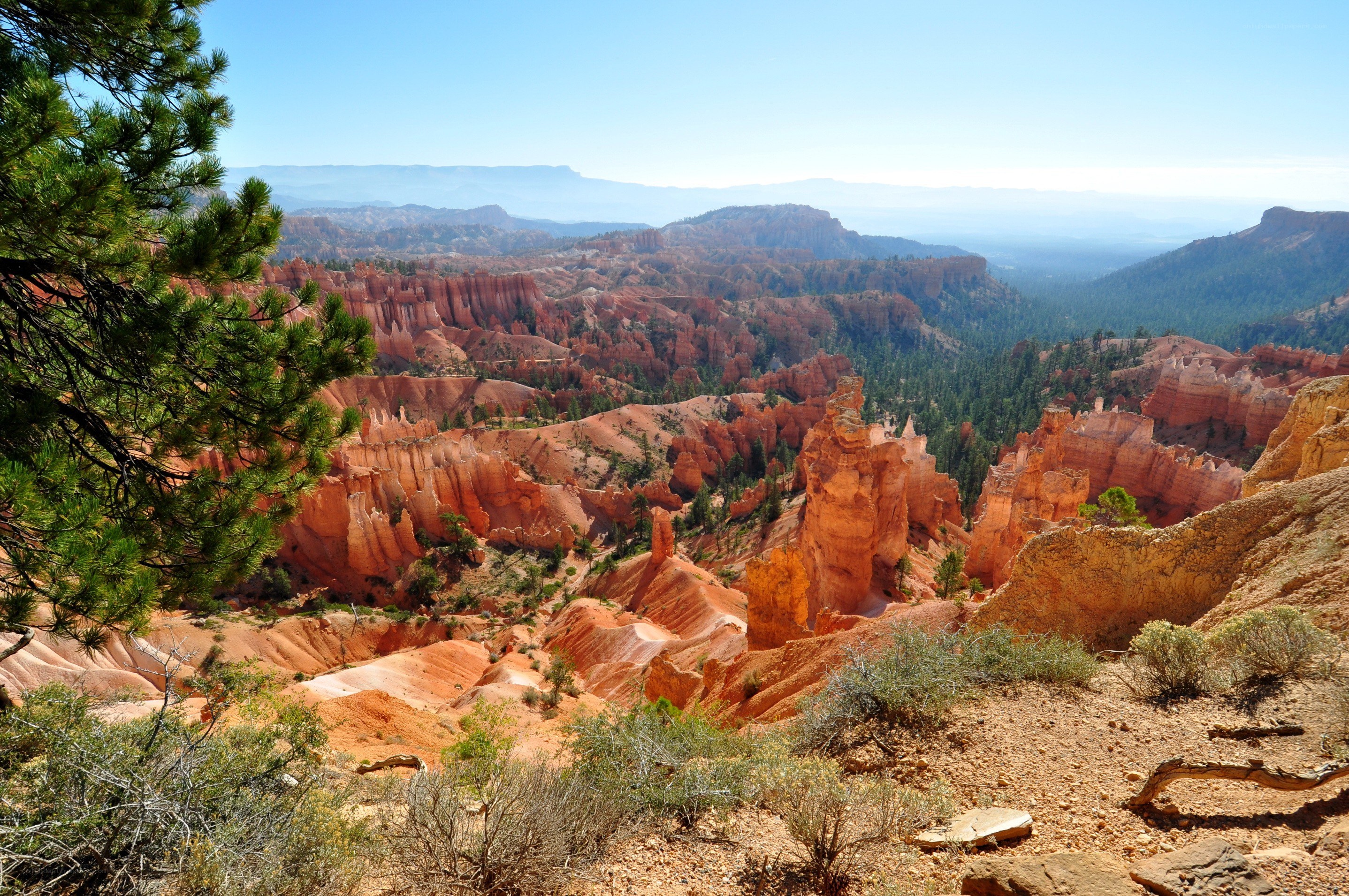 Bryce Canyon landscape view