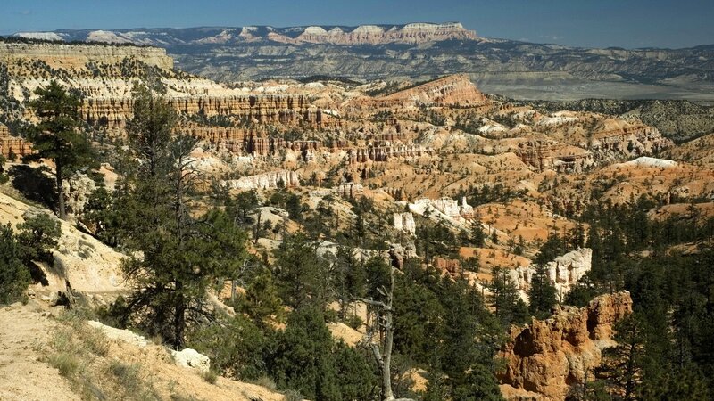 Bryce Canyon landscape view