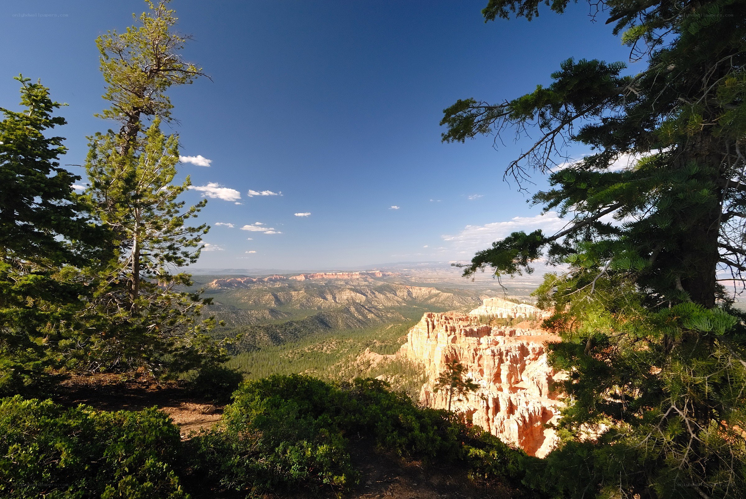 Bryce Canyon overlook