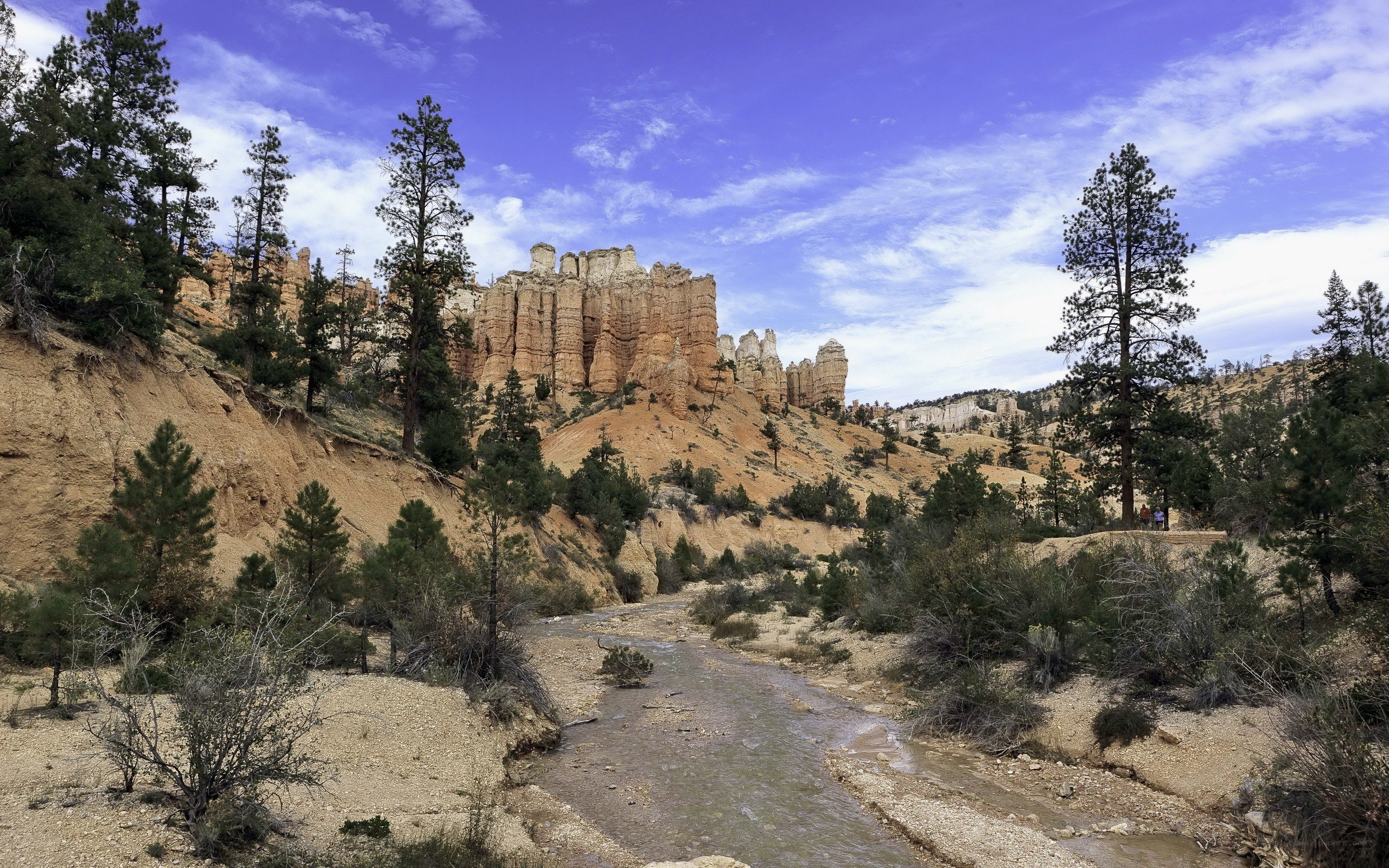 Bryce Canyon stream and hoodoos