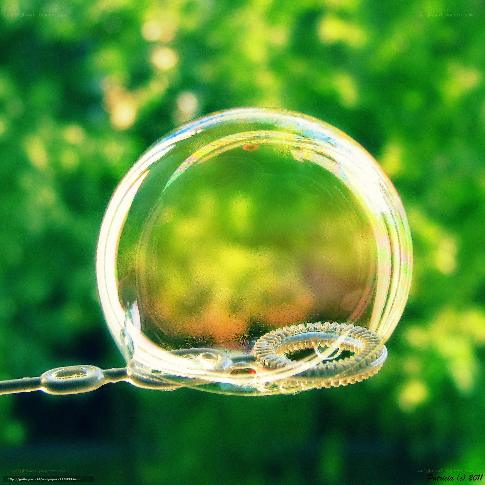Bubble in sunlight