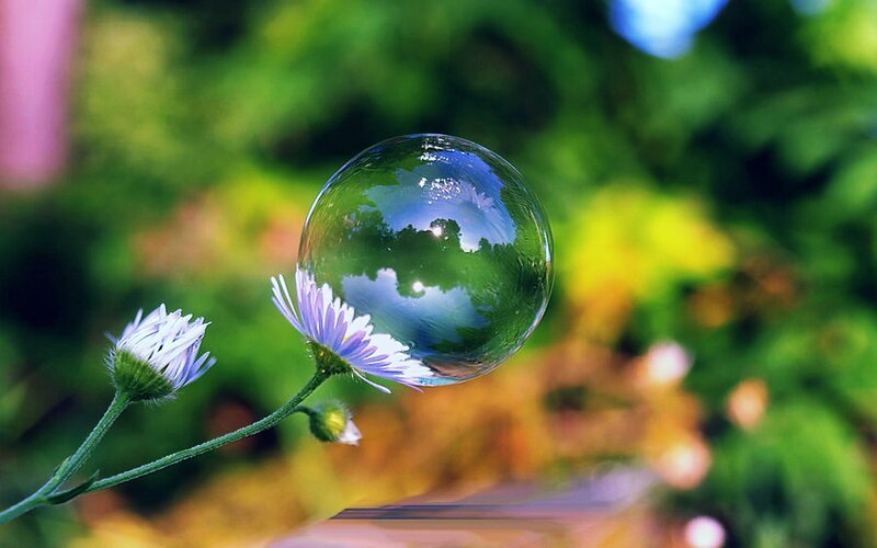 Bubble on a flower stem