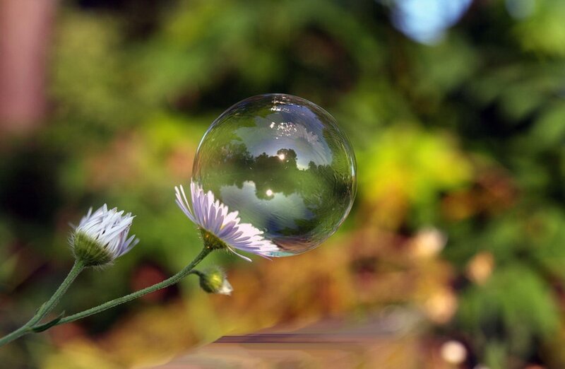 Bubble on a flower stem