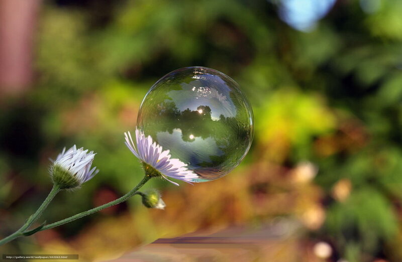 Bubble on a flower stem