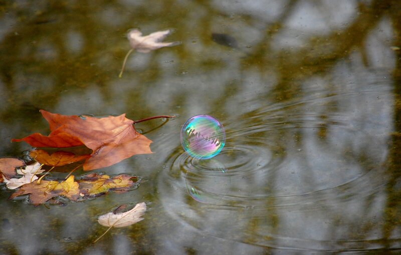 Bubble on autumn water